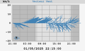 Wind Vector