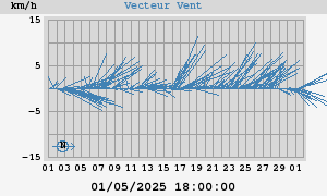 Wind Vector