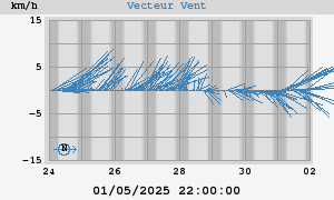 Wind Vector