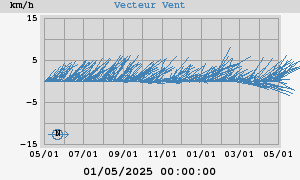 Wind Vector